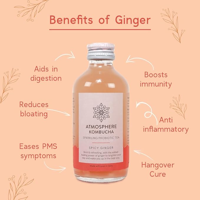 Spicy Ginger - Kombucha - Atmosphere - 210ml