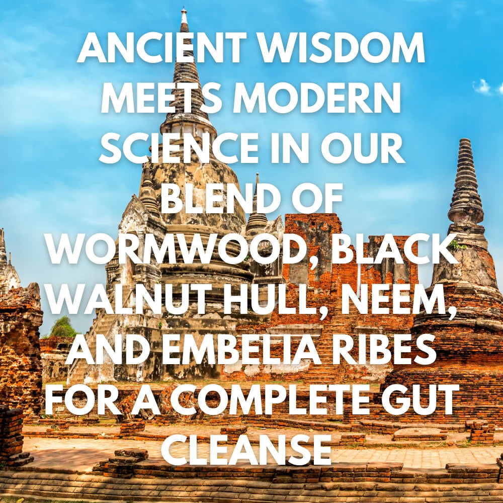 Tincture | 80% Wormwood Plus Black Walnut Hull Extract Tincture Liquid - Vegan, Gluten Free & Non GMO - Vaastavik - 100ml