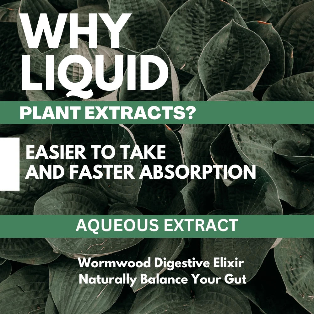 Tincture | 80% Wormwood Plus Black Walnut Hull Extract Tincture Liquid - Vegan, Gluten Free & Non GMO - Vaastavik - 100ml