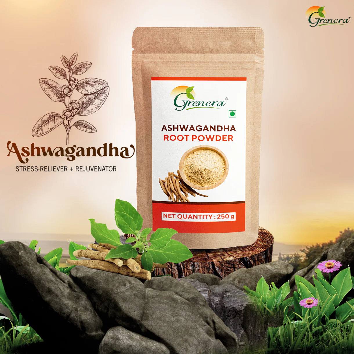Powder | Ashwagandha Root Powder-No Additives, Preservatives, or Artificial Colours – Grenera – 100gm