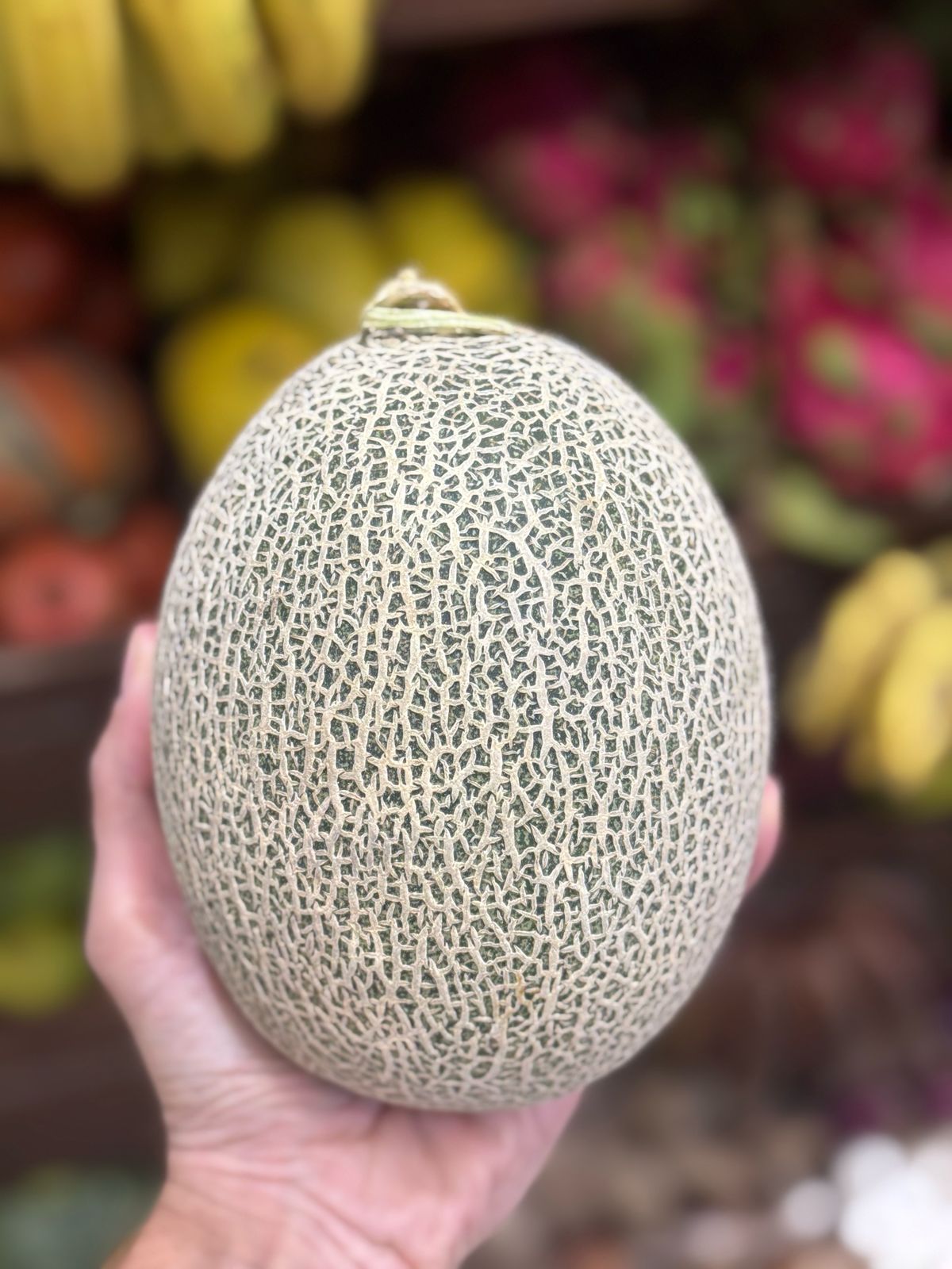 Muskmelon | Aaliya muskmelon - Organically Grown