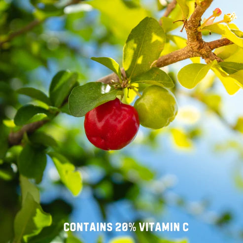 Vitamin C | With Acerola Cherries - Gluten Free, Dairy Free, GMO Free & Heavy Metal Free – Vaastavik – (500mg) – 60 Capsules