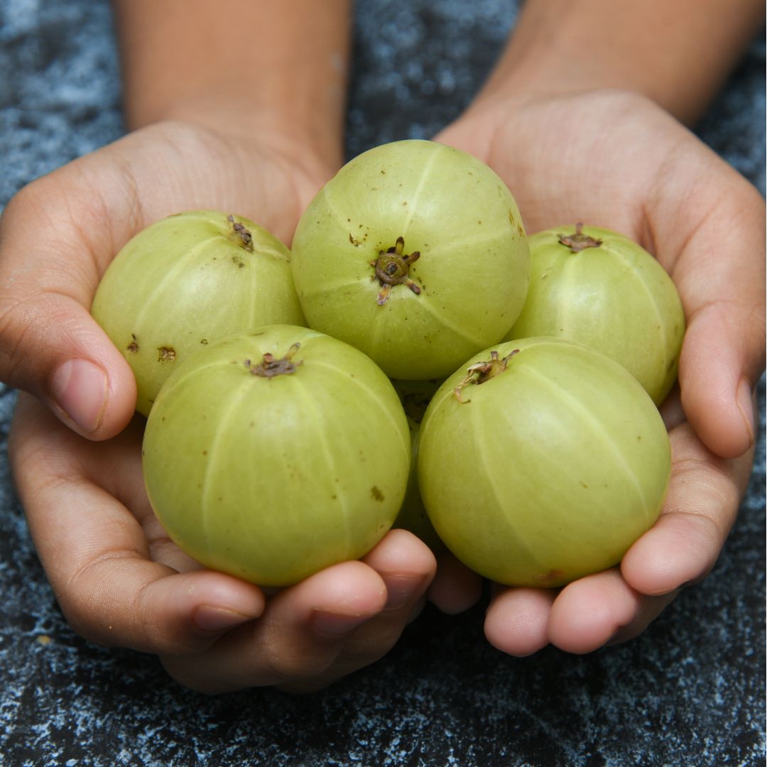 Amla (Gooseberry) | (Bangalore) - Rich In Vitamin C, Dietary Fiber, Calcium, Iron And Antioxidants - Certified Organic