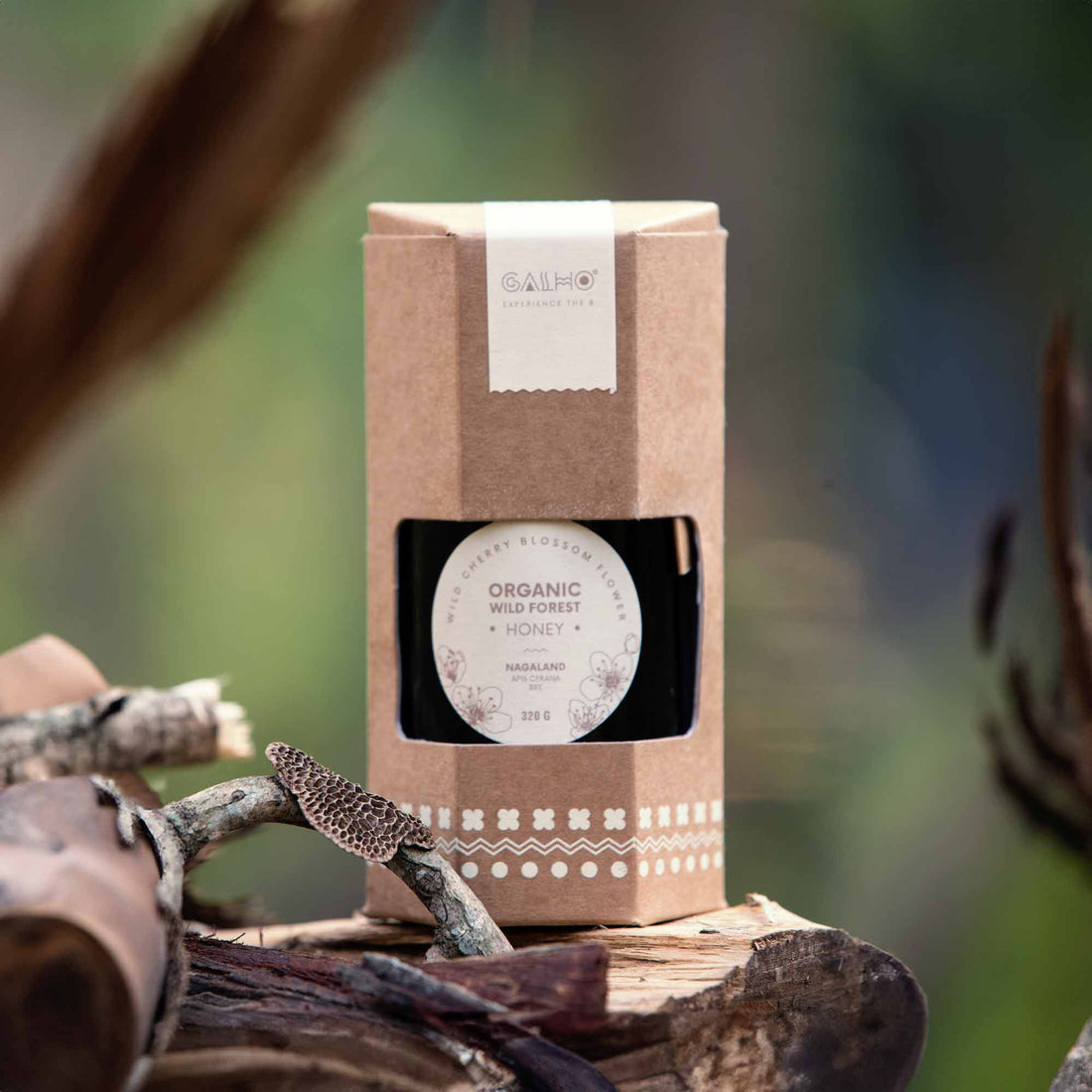 Honey | Organic Wild Forest Honey (Wild Cherry Blossom Flower) - Apis Cerana Bee - Nagaland - 100% Pure & Natural - Galho - 320gm