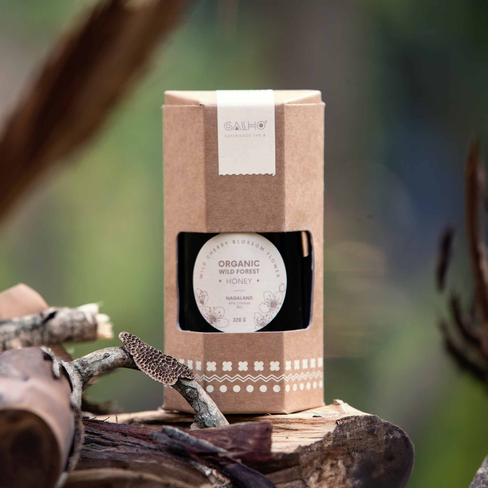 Honey | Organic Wild Forest Honey (Wild Cherry Blossom Flower) - Apis Cerana Bee - Nagaland - 100% Pure & Natural - Galho - 320gm