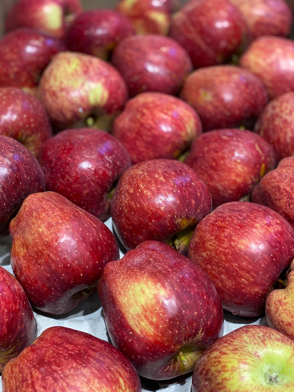 Apples | Royal Delicious (Himachal Pradesh) - Strengthen Lungs, Manage Diabetes, Promotes Bone Health - No Wax - Certified Organic