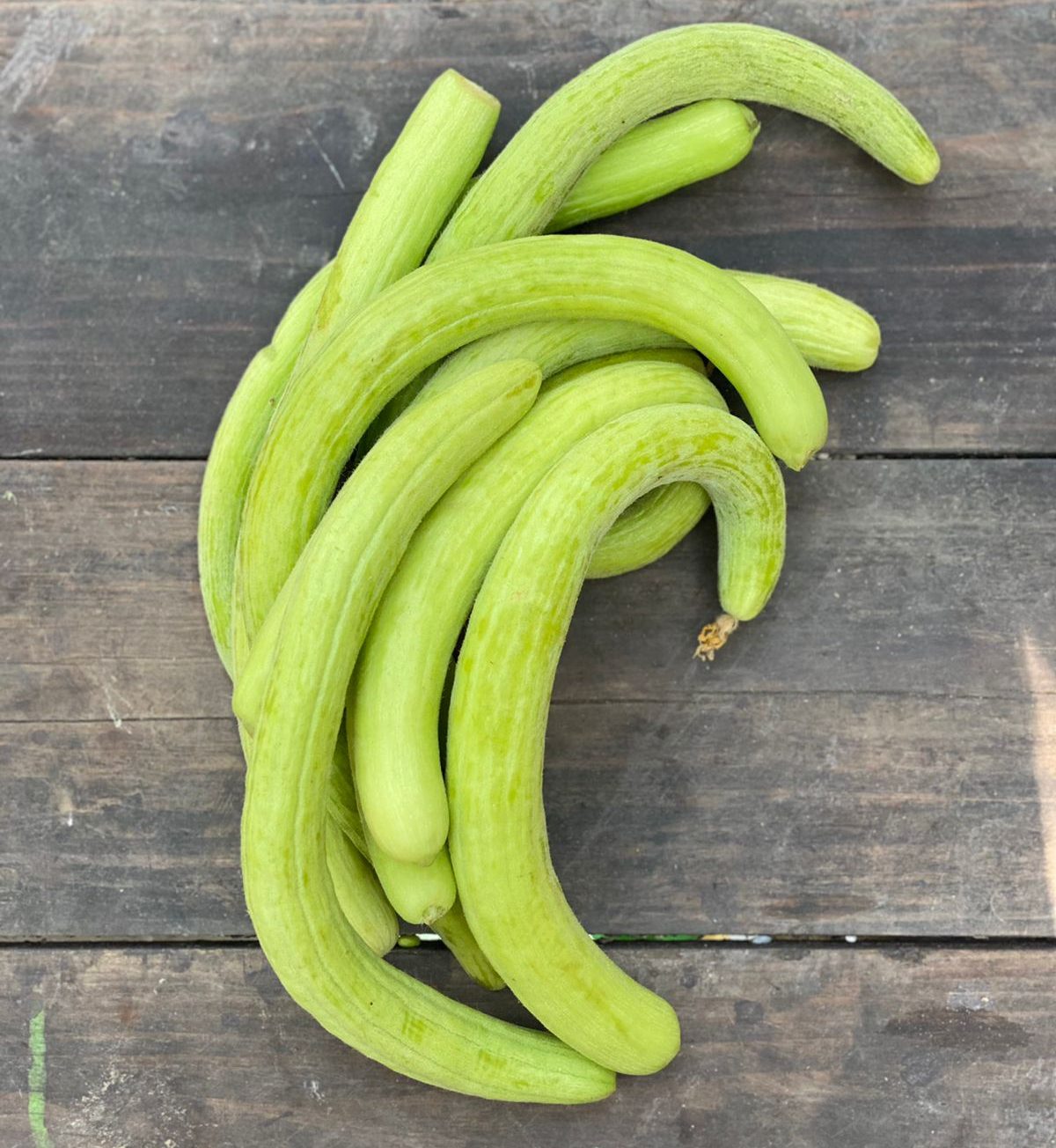Armenian Cucumber (Kakri) | Rajasthan – Low Calorie & Prevents Constipation – Certified Organic