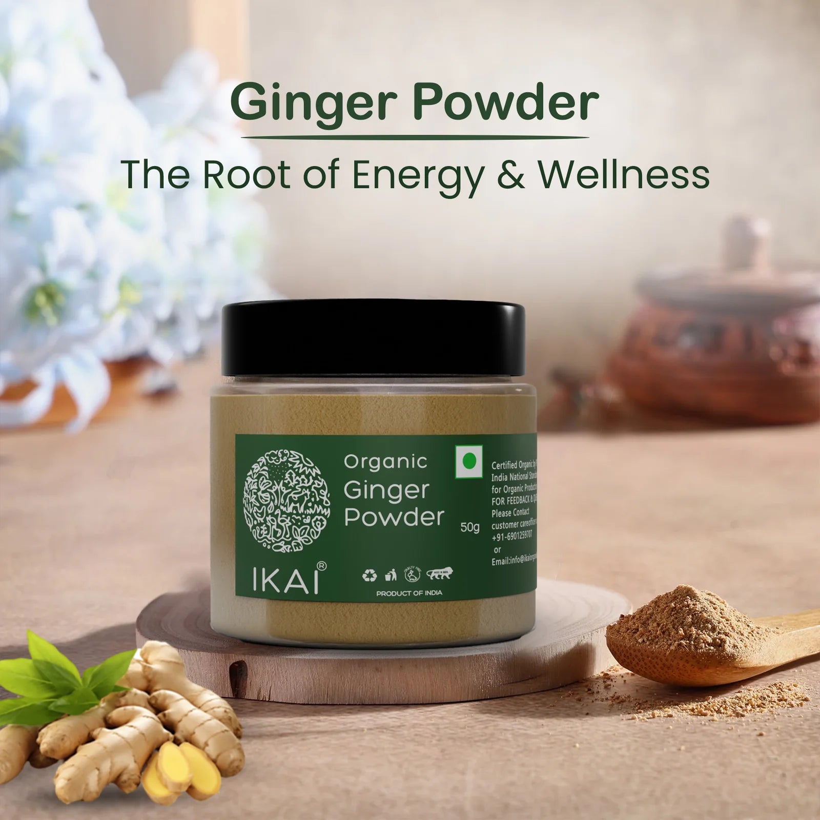 Ginger Powder | Organic Ginger Powder (Saunth) -Pure ,Organic Spice - No Preservatives- Ikai Organic – 50gm