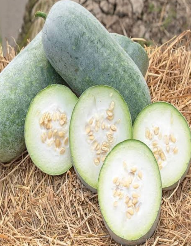 Ash Gourd (White Pumpkin, Uttar Pradesh) - Certified Organic