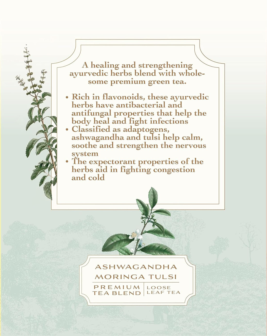 Yogi Tea (Ashwagandha, Moringa & Tulsi) – The Earth Reserve – 50gm