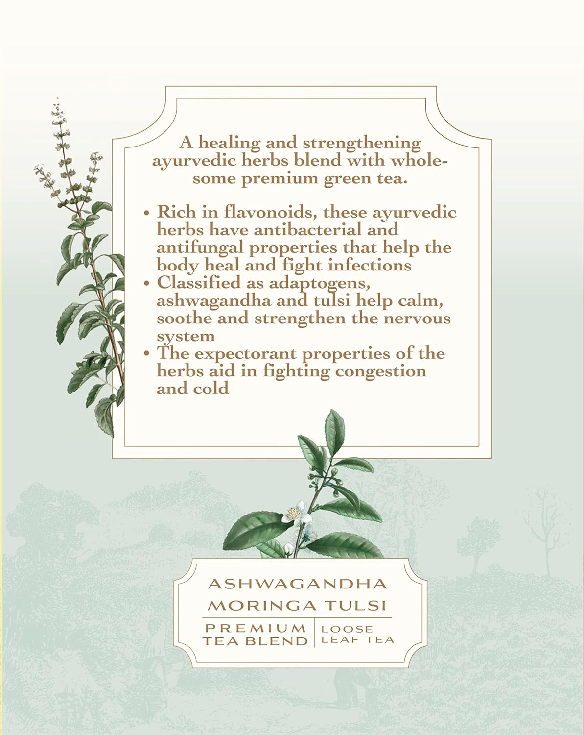 Yogi Tea (Ashwagandha, Moringa & Tulsi) – The Earth Reserve – 50gm