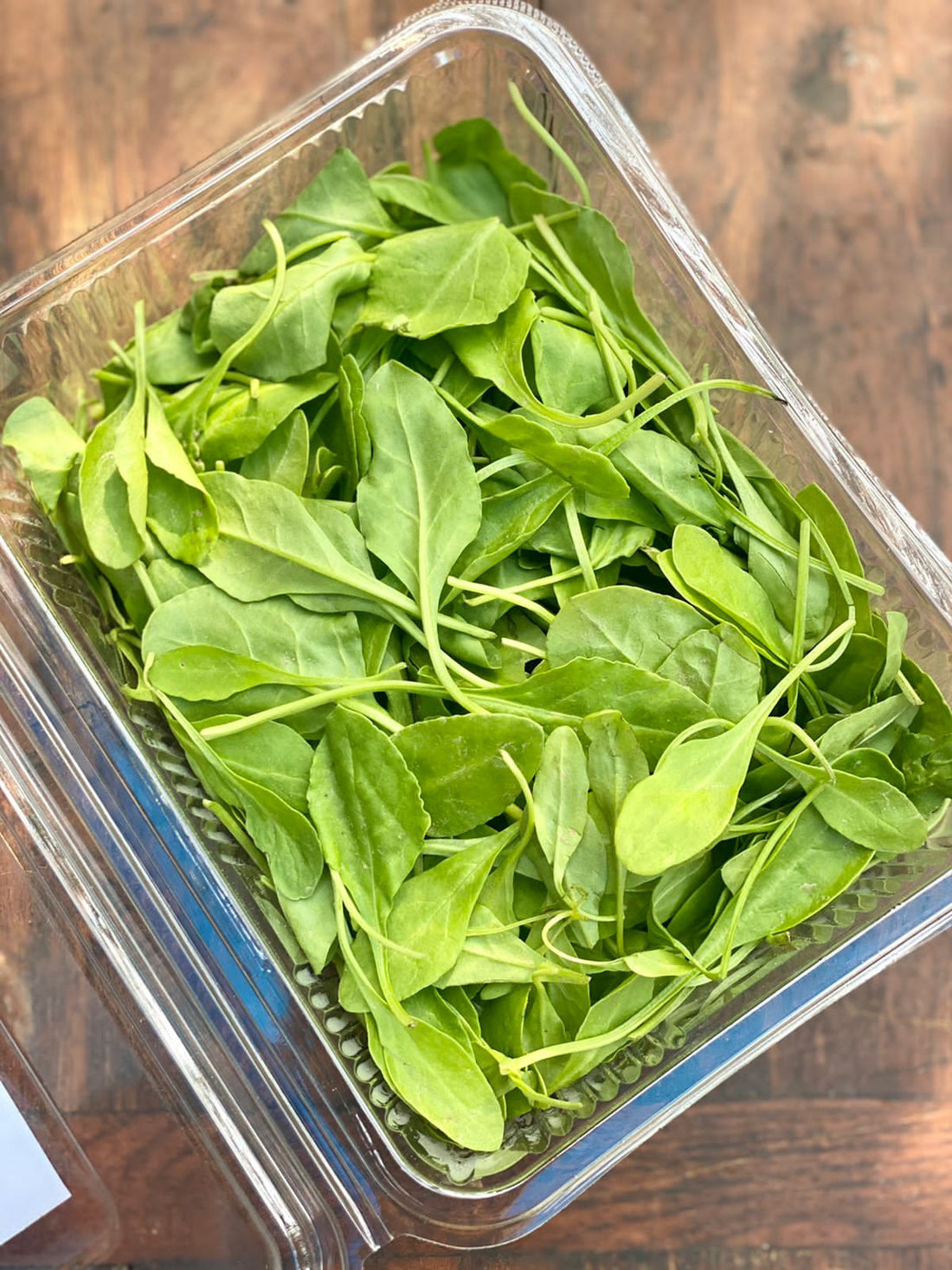 Baby Spinach – Packet – 150gm