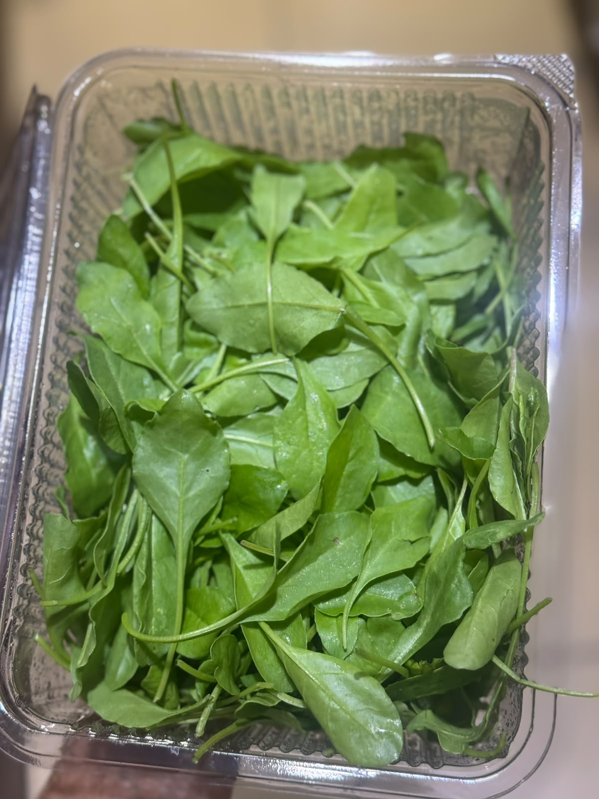 Baby Spinach – Organically Grown