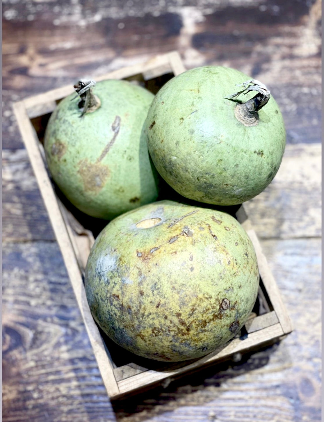 Bael Fruit | (Paonta Sahib) – Organically Grown – Fights Digestive Problems & Rich in Vitamin C – 1000gm