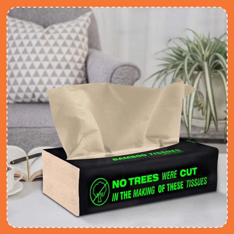 Tissues | Bamboo Facial Tissues - Unbleached (Bamboo Tissue) - Eco Friendly & No Chemical - Beco - 2ply - 100pulls - Pack of 6