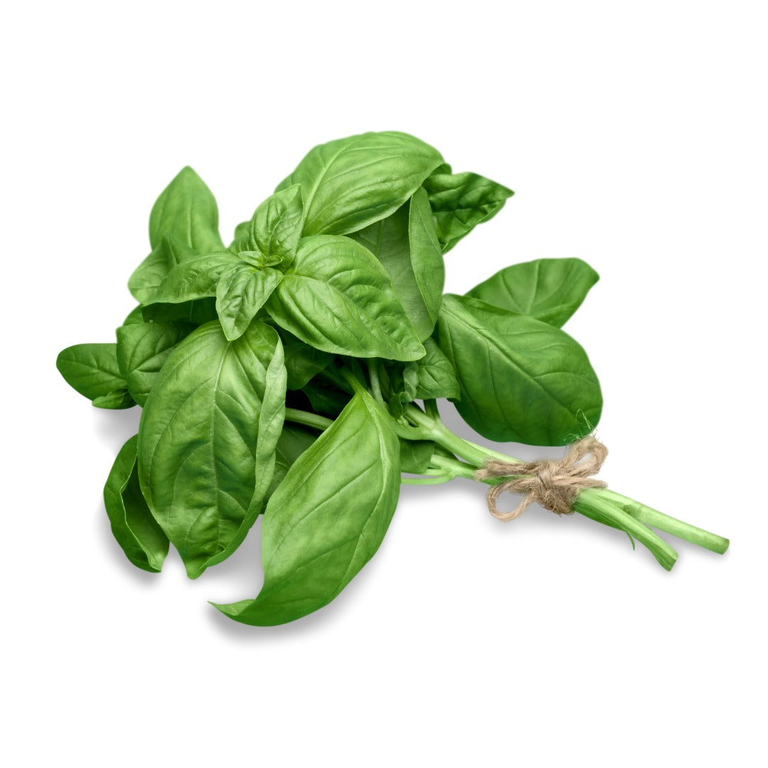 Basil (Delhi) | Certified Organic