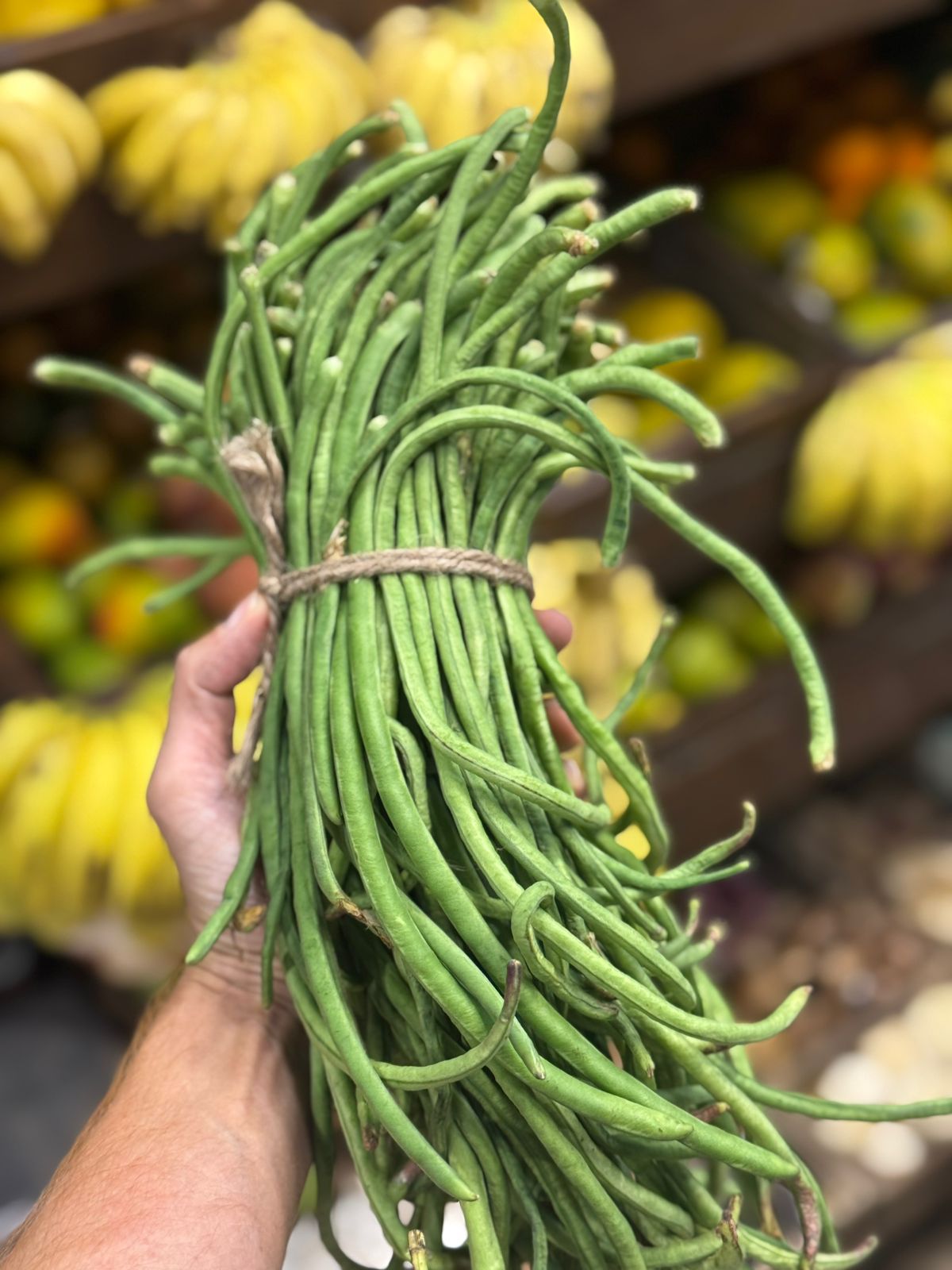 Fresh Lobia