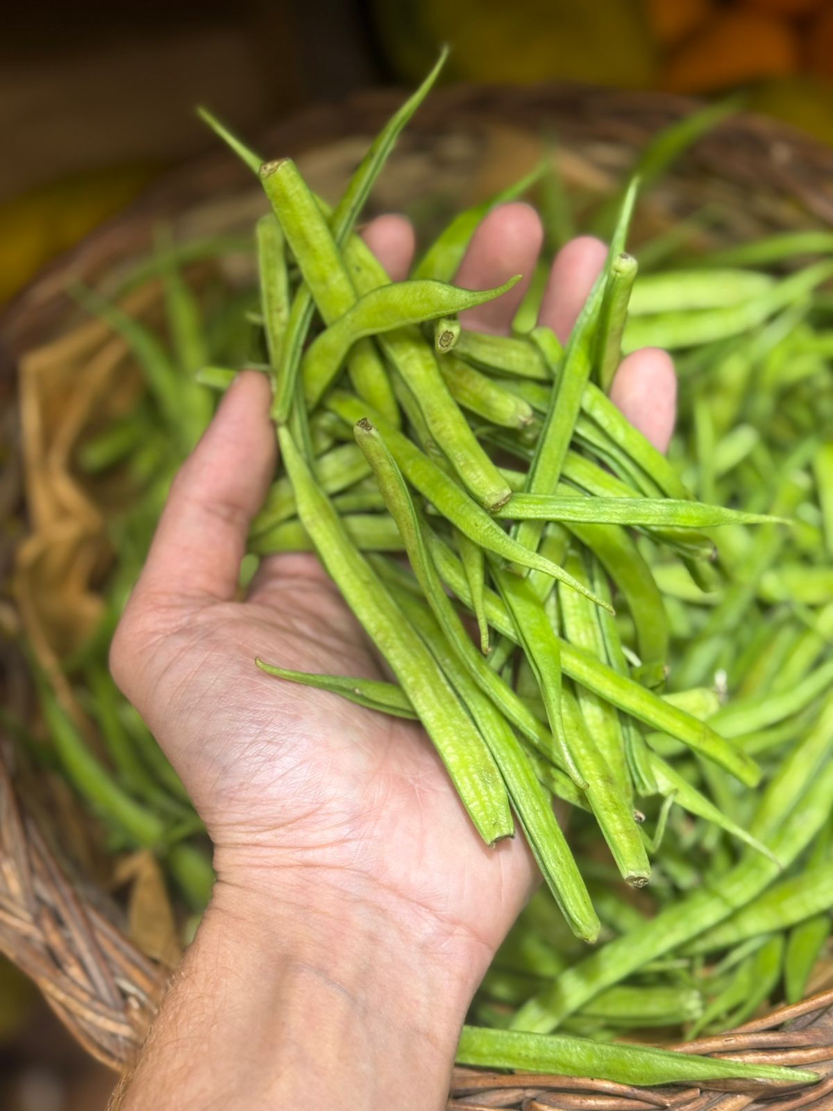 Beans | Gwar Phali Beans (Cluster Beans) - Uttar Pradesh - Organically Grown