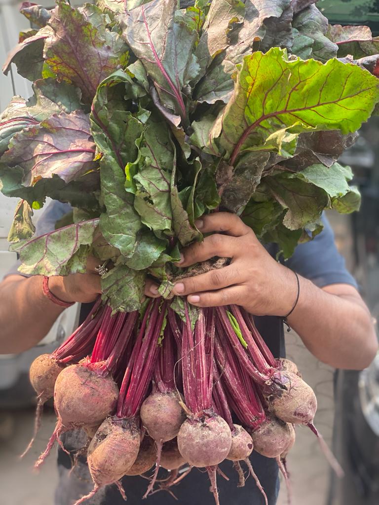 Beetroot With Greens | (Sirmaur) - Great Source of Fiber, folate, Potassium, Iron & Vitamin C - Certified Organic