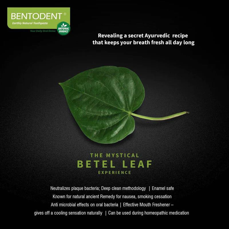 Toothpaste | Betel Leaf - Vegan, Gluten Free, Glycerin Free, Fluoride Free & No Added Artificial Colors - Bentodent - 100gm