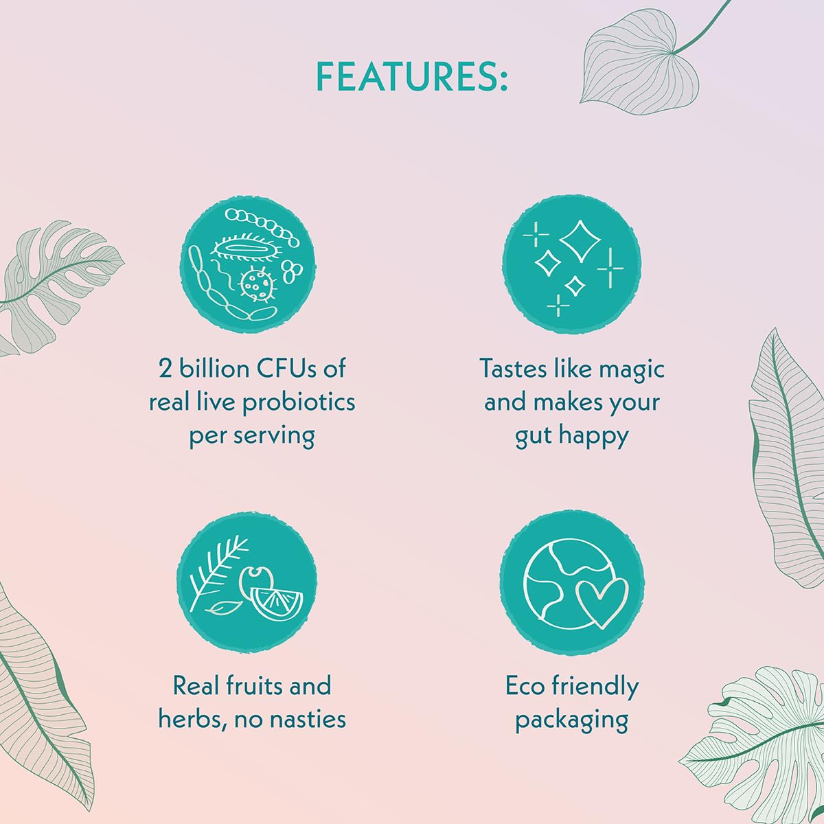 Blueberry Lavender - Kombucha - Atmosphere - 210ml