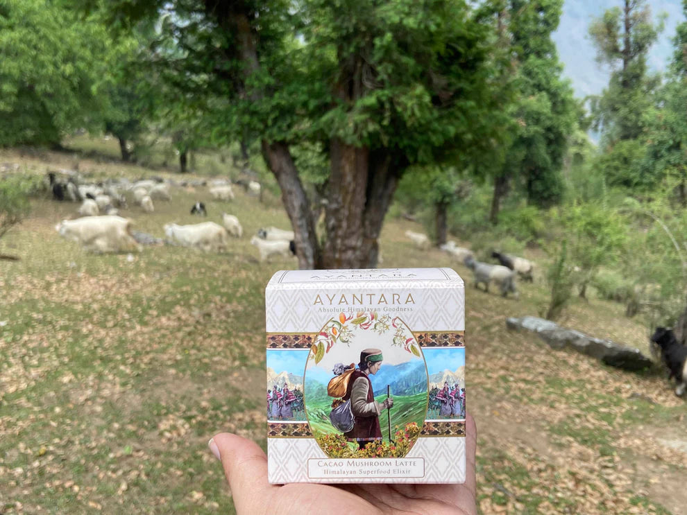 Cacao Mushroom Latte | Himalayan Superfood Elixir - Latte - Anti Stress - Ayantara - 16 Sachets x 4gm
