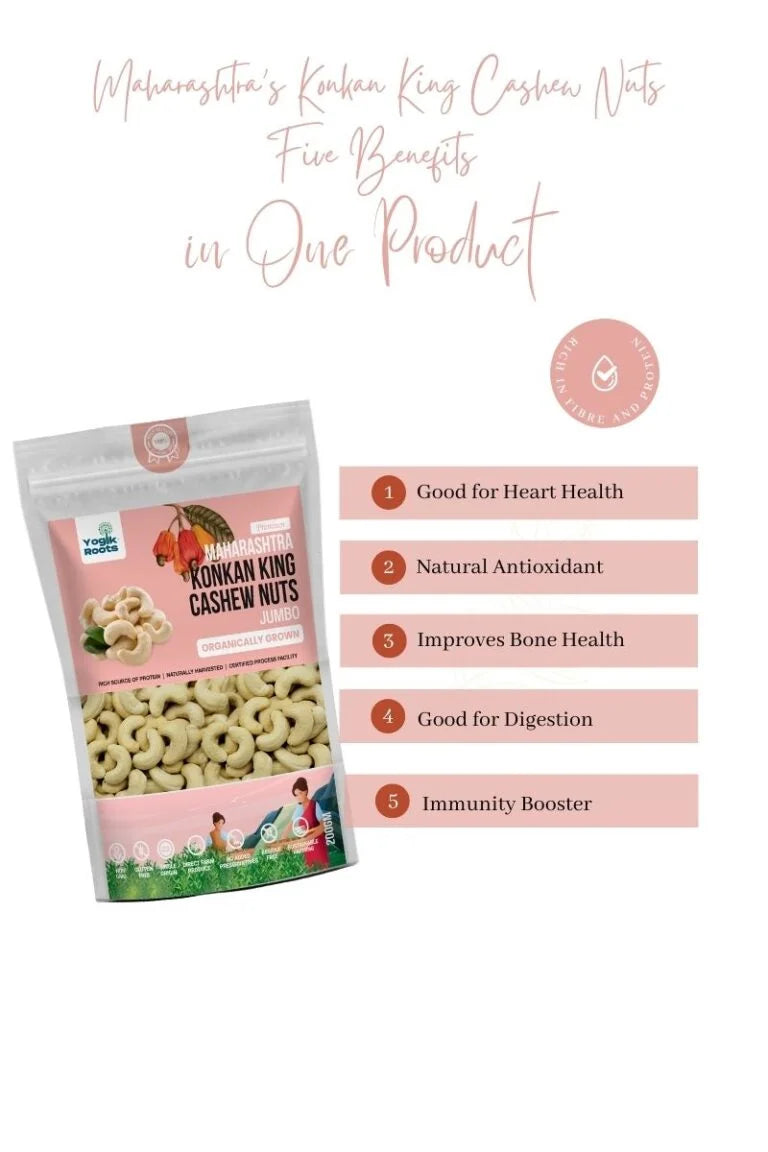 Cashew Nuts | Jumbo (Konkan King) – Maharashtra – Rich Source Of Protein – Naturally Harvested – Gluten Free, Non GMO, No Added Preservatives & Residue Free – Yogik Roots – 500gm