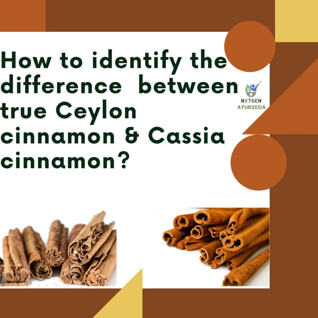 Ceylon Cinnamon Sticks - Nxtgen Ayurveda - 50gm