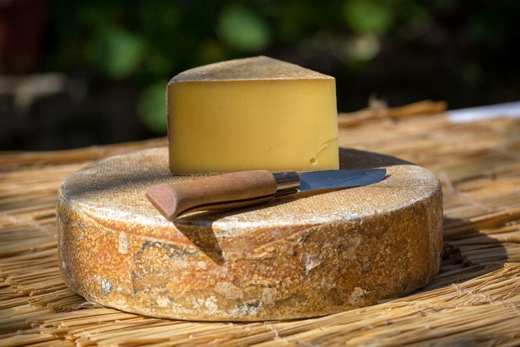 Yak Cheese | The Old Sherpa - Nepal - Himalayan French Cheese - 200gm