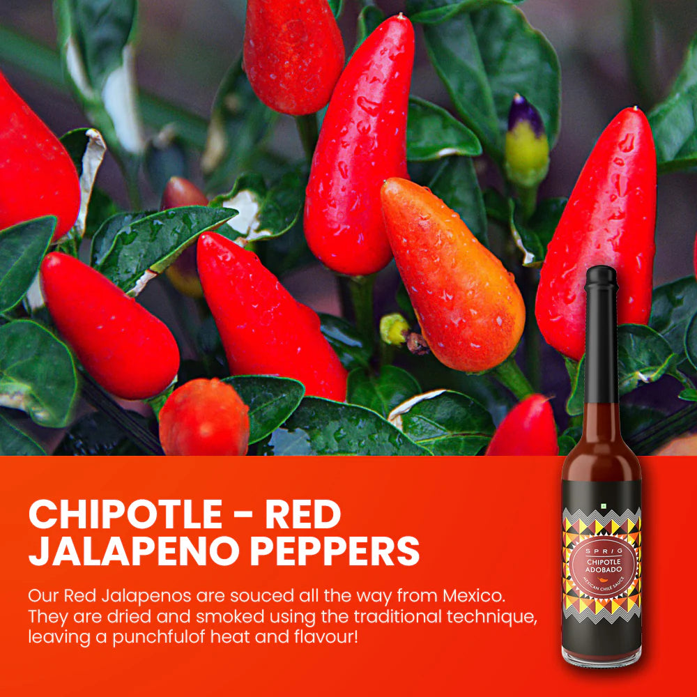 Chilli Sauce | Chipotle Adobado Mexican Chilli Sauce - Vegan, Gluten Free & No Added Sugar - Sprig - 120gm