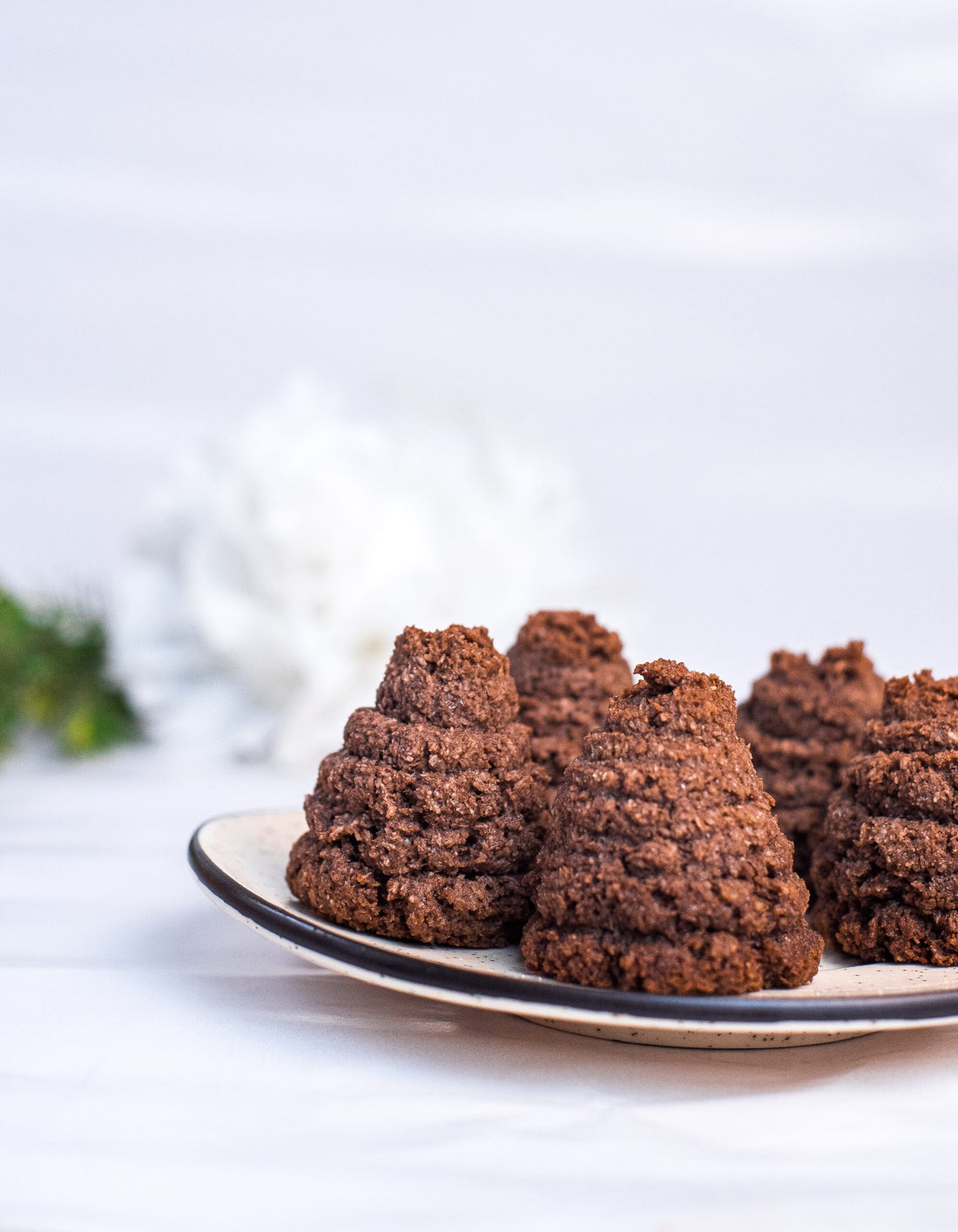 Choco Coconut Macaroon - With Egg - Nature&