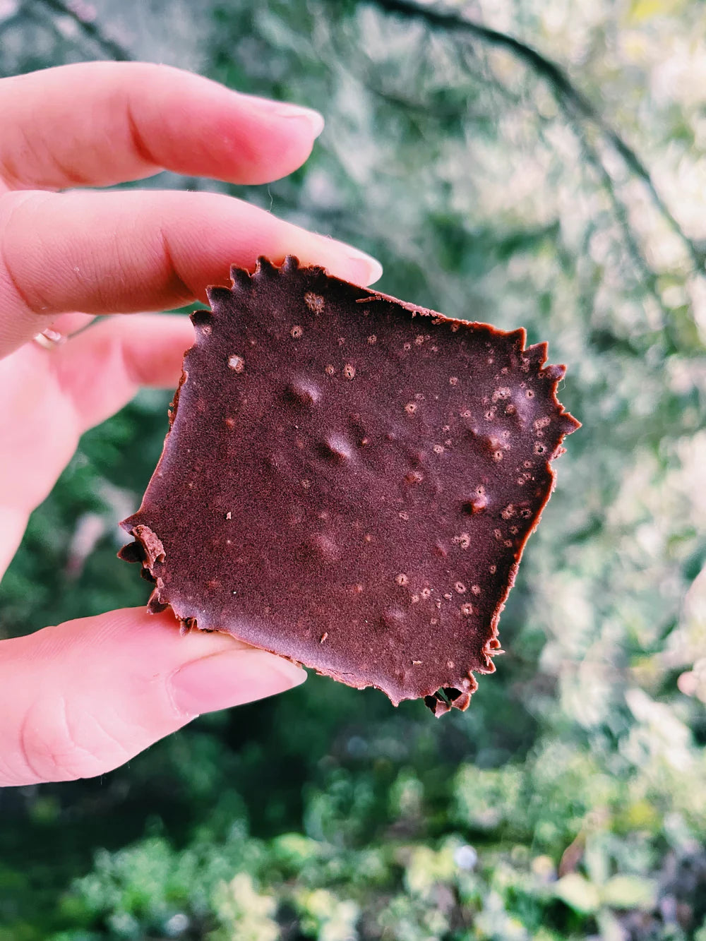 Chocolate Fudge | Almond Crunch - Indian – Vegan, Gluten Free, Sugar Free, Keto Friendly & Dairy Free – Atmosphere – 2 Piece - 48gm