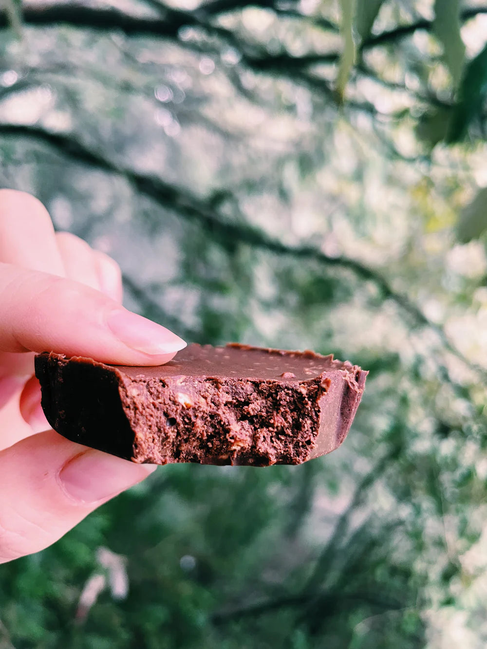 Chocolate Fudge | Almond Crunch - Indian – Vegan, Gluten Free, Sugar Free, Keto Friendly & Dairy Free – Atmosphere – 2 Piece - 48gm