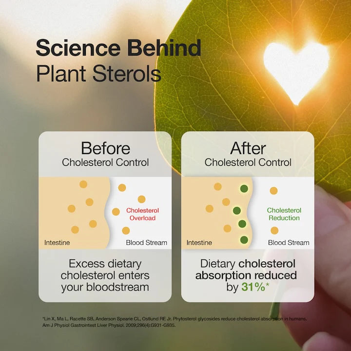 Cholesterol Control | Slow - Plant Sterols To Support Cardiovascular Health - Wellbeing Nutrition - 60 Capsules