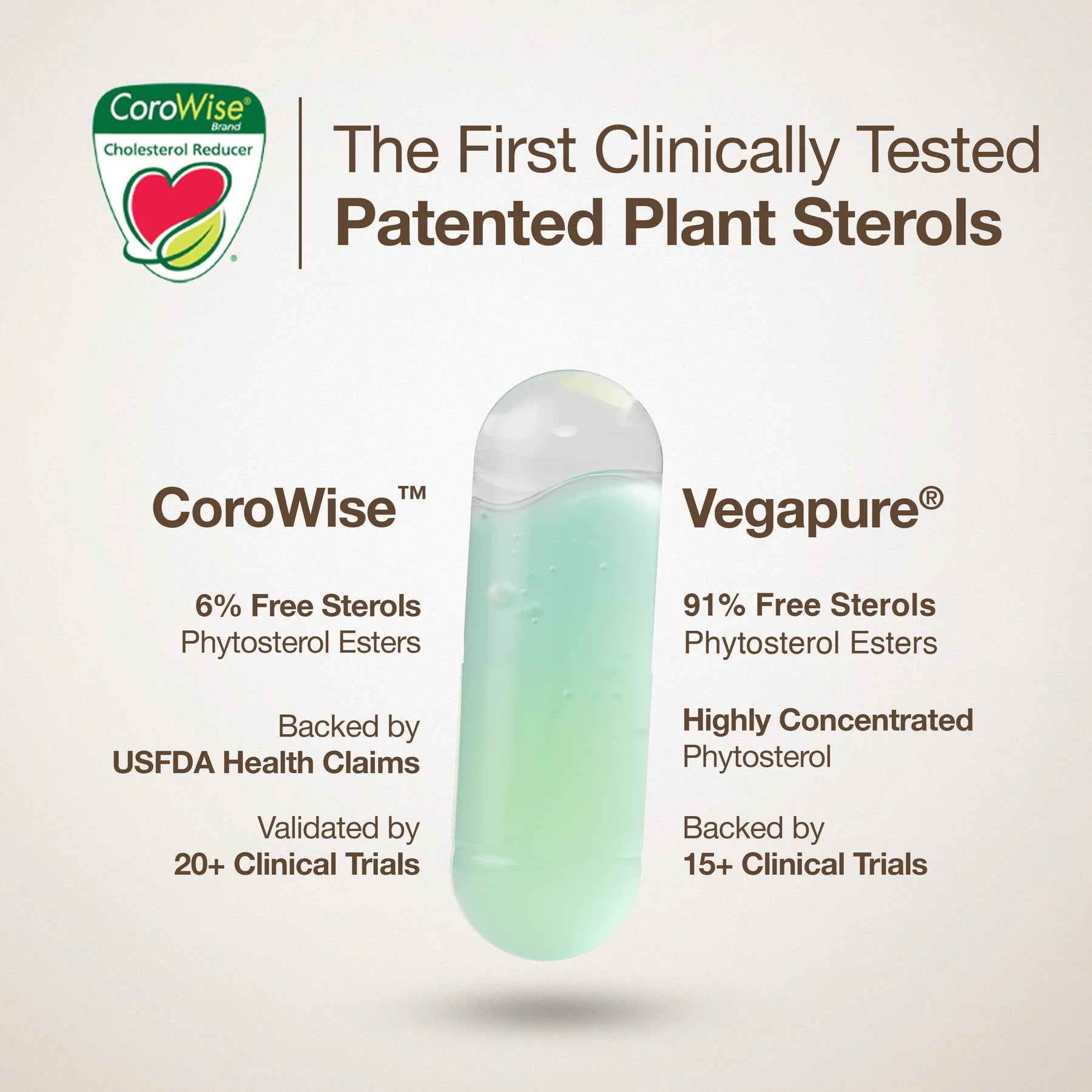 Cholesterol Control | Slow - Plant Sterols To Support Cardiovascular Health - Wellbeing Nutrition - 60 Capsules