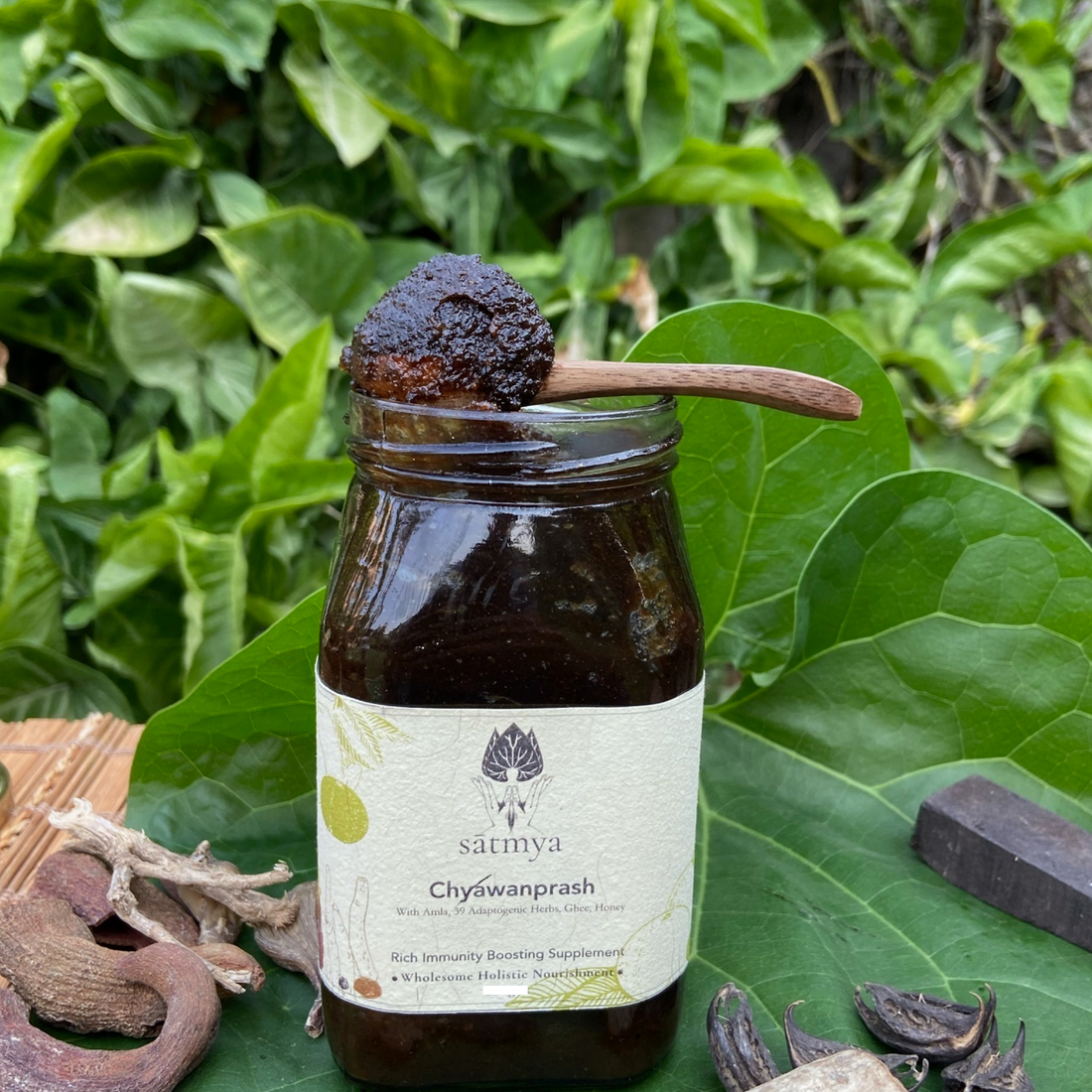 Chyawanprash | (With Amla, 39 Adaptogenic Herbs, Ghee & Honey) - All Natural - Immunity Booster, Zero Refined Sugar, No Added Preservatives, No Added Coloring, Flavoring & Excellent Source Of Vitamin C - Satmya - 475gm