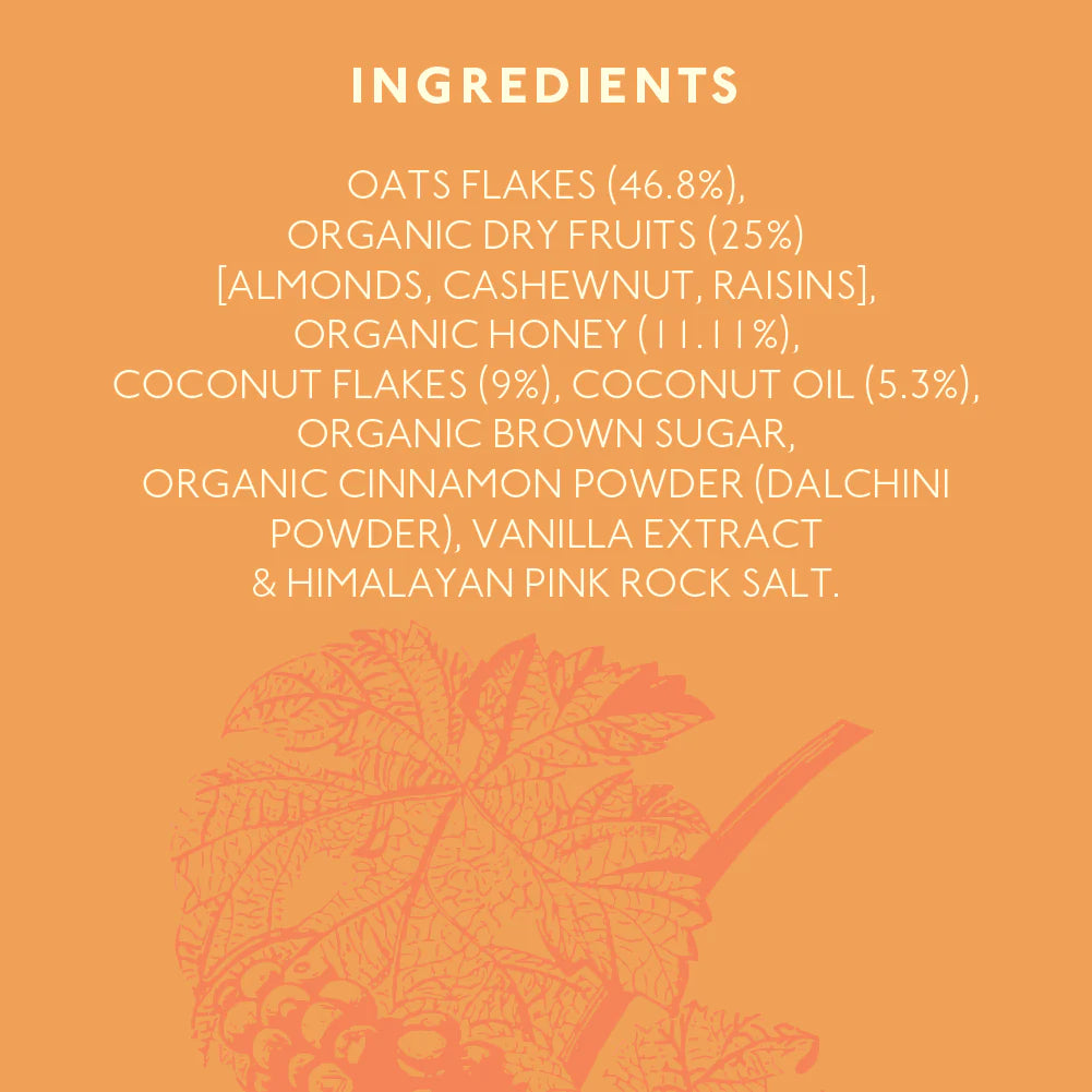 Oats Cinnamon Granola - High Protein, Rich In Fiber, Wheat Free, Fat Free & Lactose Free - Nourish Organics - 300gm