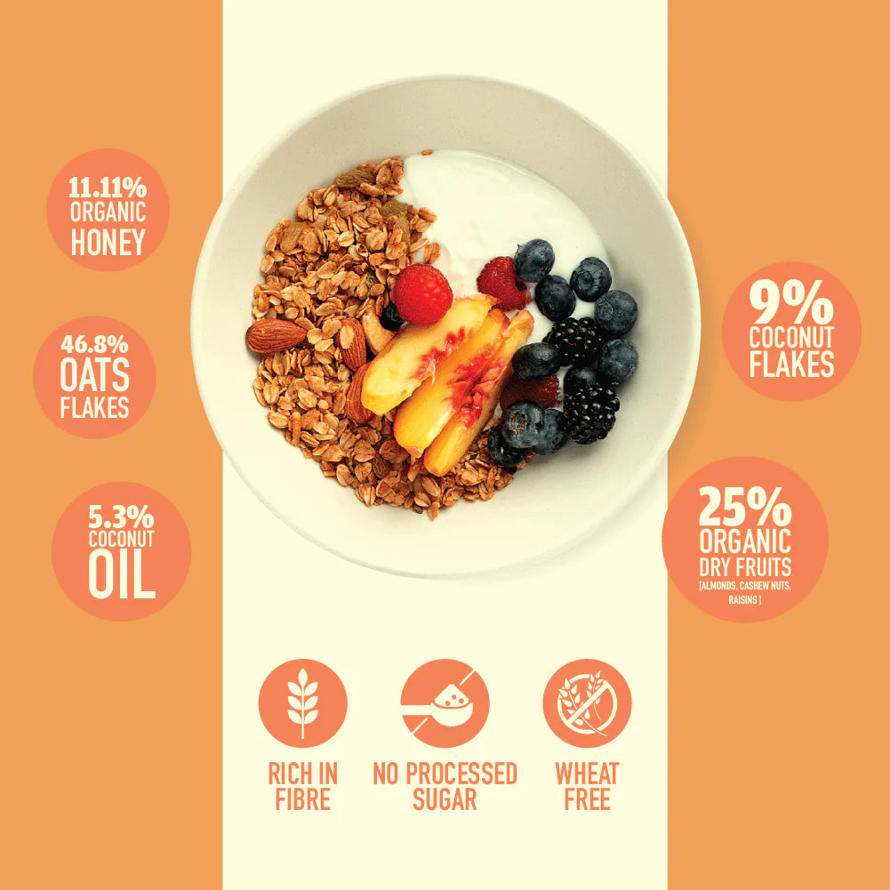 Oats Cinnamon Granola - High Protein, Rich In Fiber, Wheat Free, Fat Free & Lactose Free - Nourish Organics - 300gm