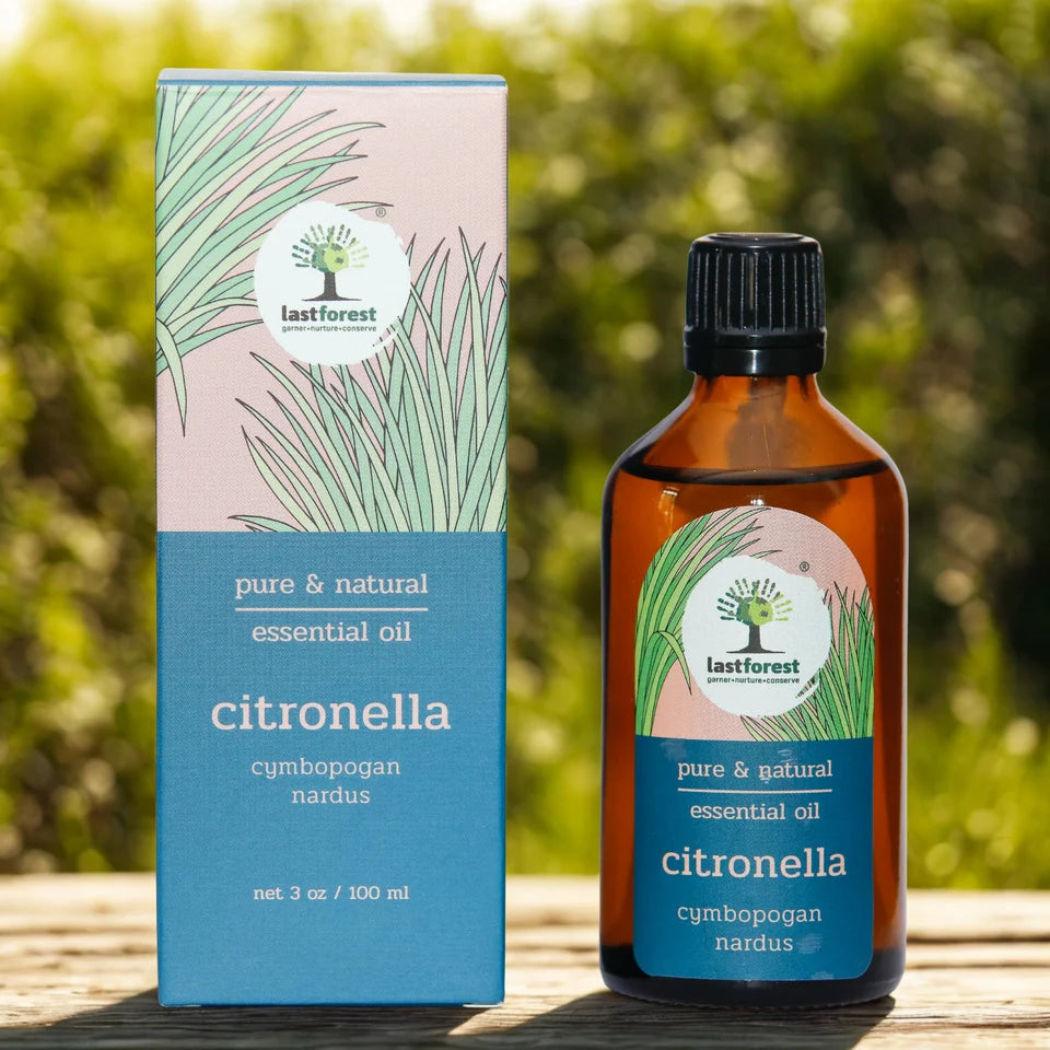 Oil | Citronella (Cymbopogan Nardus)-Insect Repellant -Pure & Natural Essential Oil - Last Forest - 100ml