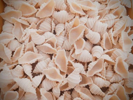 Conchiglie Whole wheat & Semolina Pasta – Donna Pastaia – 250gm