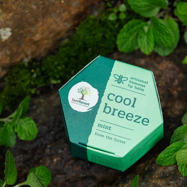 Lip Balm Mint - Last Forest - 5gm