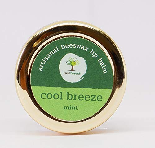 Lip Balm Mint - Last Forest - 5gm