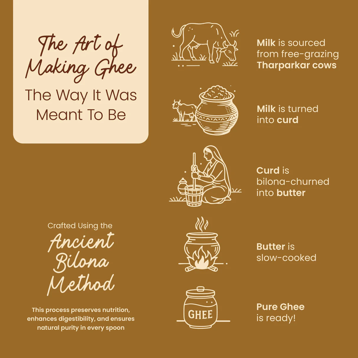 Ghee | Native Tharparkar Cow Ghee (Single Origin) - Tharparkar Cow (Rajasthan) - Organic Grass Fed, Lactose Free, Cruelty Free - Praakritik - 500ml