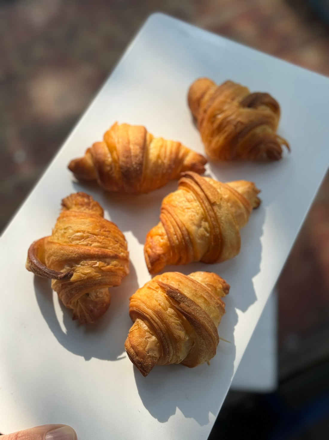 Croissant | Mini (Made Using A2 Milk & A2 Butter) – Nature’s Soul – Set Of 6