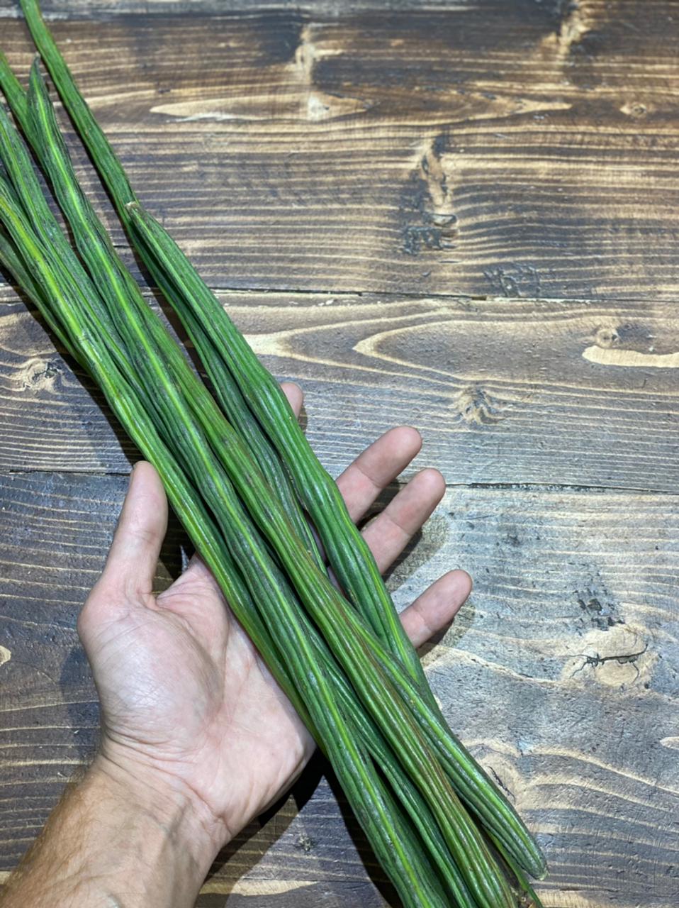 Drum Stick (Uttar Pradesh) | Rich in vitamin A, C & B Complex Vitamins - Certified Organic