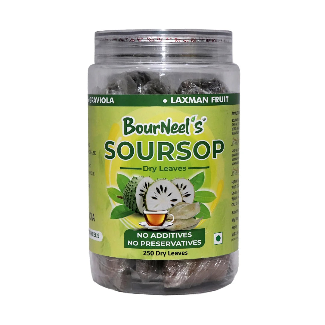 Dry Leaves | Soursop Dry Leaves – Graviola – Guyobana – Laxman Phal leaves – No Additives & No Added Preservatives – BourNeel’s – 250 Dry Leaves