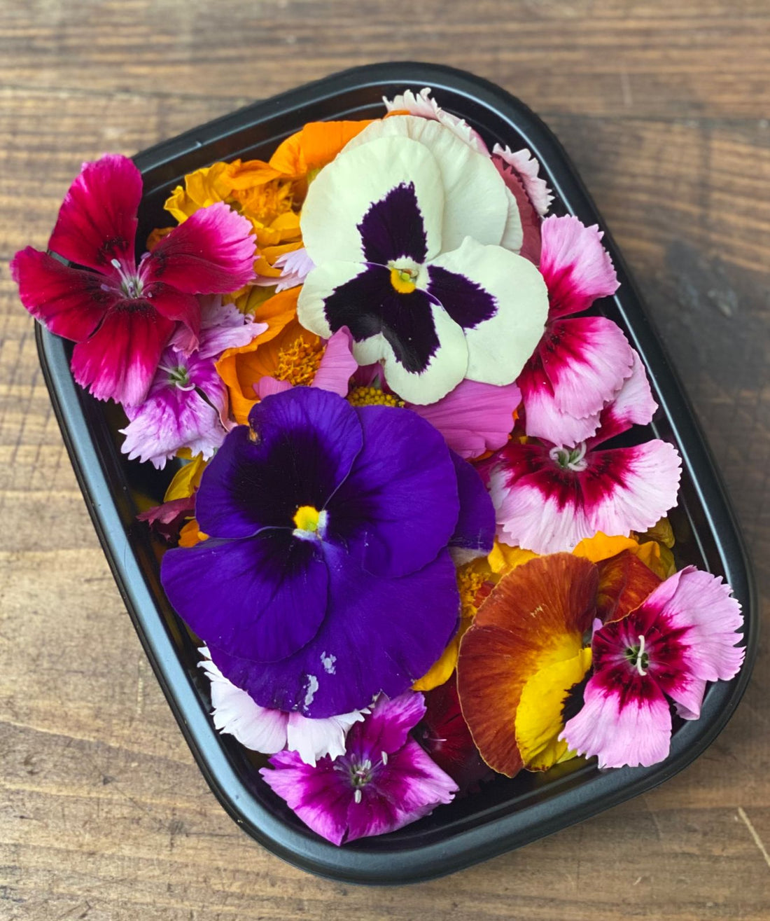 Edible Flowers - Box