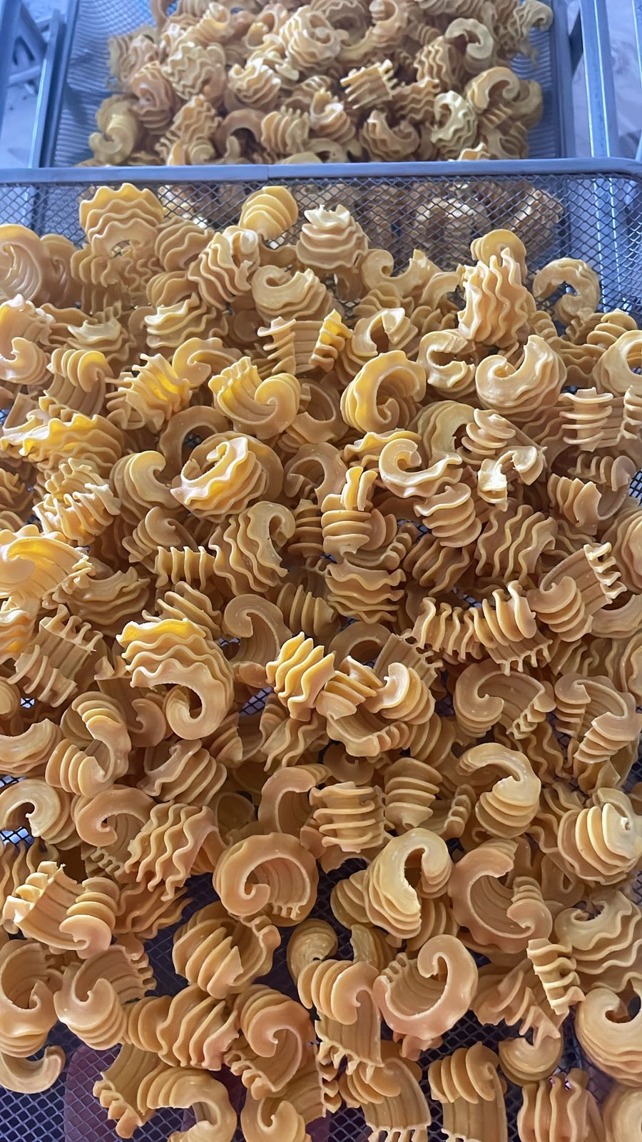 Pasta | Eggfree Semolina Radiatori (Semolina & Turmeric) - No Refined Flour - Our Pasta Lab - 250gm