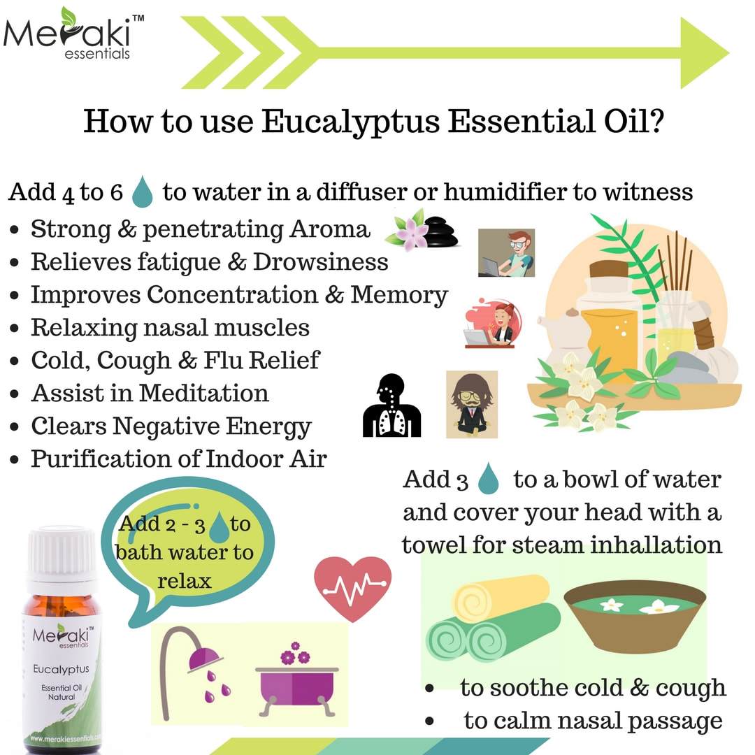 Eucalyptus Natural Essential Oil (Eucalyptus Globulus) - Natural - Indian - Meraki Essentials – 10ml