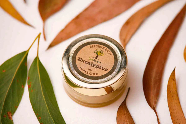 Balm Eucalyptus - Last Forest - 20gm